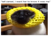 tell cersei, i want her to know it was me"