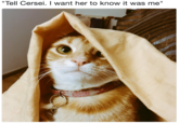 "Tell Cersei. I want her to know it was me"