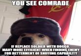 YOU SEE COMRADE IF REPLACE SOLDIER WITH DOGGO MANY MORE EFFICIENT WHEN FINDING ENEMY FOR BETTERMENT OF SNIFFING CAPABILITY imgfip.com