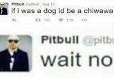If pitbull was a dog he'd be a chihuahua Pitbull @pitbull Aug 13 if i was a dog id be a chiwawa 仁る743 1.3K Pitbull @pitb wait no