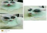 fileformat who is she