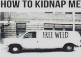 HOW TO KIDNAP ME