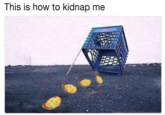 This is how to kidnap me