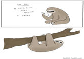 A sloths to do list to do o hang from tree branch o relax lizclimo. tumblr.com