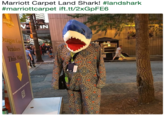 Marriott Carpet Land Shark landshark #marriottcarpet ift.tt/2xGpFE6 IN THE Vendors