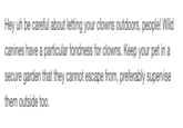 Hey uh be careful about letting your clowns outdoors, people! Wild canines have a particular fondness for clowns. Keep your pet in a secure garden that they cannot escape from, preferably supervise them outside too.