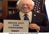 Edit of original image found at http://allevents.in/hamilton%20county/d-----out-for-harambe/980099985440069