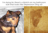 I'm dying bc there's a blotch on my bathroom wall that looks like Depression Dog xD