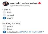 pumpkn spice paige @awkwardhotdog i am a fish squid clam looking for my: plant tree O seagrass #PSAT #PSAT20 17