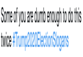 Some of you are dumb enough to do this twice #Trump2020ElectionSlogans