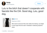 Hurija @commietantric Follow Lulu is the bitch that doesn't cooperate with fascists like the CIA. Good dog, Lulu, good dog. CIA @CIA Replying to @CIA We're sad to announce that a few weeks into training, Lulu began to show signs that she wasn't interested in detecting explosive odors. 17 1:30 PM-18 Oct 2017