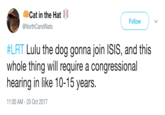 Cat in the Hat Follow @NorthCaroliNats #LRT Lulu the dog gonna join ISIS, and this whole thing will require a congressional hearing in like 10-15 years. 1:00 AM -20 Oct 2017