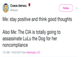 Follow @Arpwel Me: stay positive and think good thoughts Also Me: The CIA is totally going to assassinate LuLu the Dog for her noncompliance 1:51 AM -19 Oct 2017 from Washington, DC