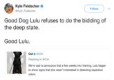 Kyle Feldscher @Kyle_Feldscher Follow Good Dog Lulu refuses to do the bidding of the deep state Good Lulu. CIA @CIA Replying to @CIA We're sad to announce that a few weeks into training, Lulu began to show signs that she wasn't interested in detecting explosive odors.