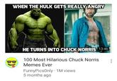 WHEN THE HULK GETS REALLY ANGRY HE TURNS INTO CHUCK NORRIS 13:46 100 Most Hilarious Chuck Norris : Memes Ever FunnyPicsOnly 1M views 5 months ago