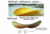 What others see.. (Potato chips) What Rick and Morty fans see (Hyperbolic x2 y2 paraboloid) ー=cz 2 2