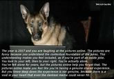 Bork Info the Void The year is 2017 and you are laughing at the pictures online. The pictures are funny because you understand the contextual foundation of the jokes. This understanding makes you feel included, as if you're part of an inside joke. You look to your left, then to your right. You're actually alone. You've felt alone for years, but the pictures online help you forget that. The pictures online make you feel like you're having a genuine shared experience. But you know deep down the experience is not genuine, because there is a void in your heart that even the dankest meme could never fill.