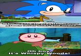 I dunno if this fits better in the Sonic image gallery or the Kirby image gallery, so I just put it in here instead.