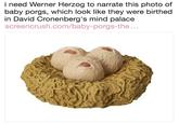 i need Werner Herzog to narrate this photo of baby porgs, which look like they were birthed in David Cronenberg's mind palace screencrush.com/baby-porgs-the