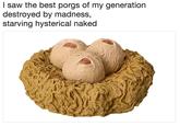 l saw the best porgs of my generation destroyed by madness, starving hysterical naked