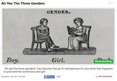 Ah Yes The Three Genders GENDER. Boy. Girl. Researching "Ah yes the three genders" has become the go to catchphrase for any think that happens to proceed the words boy and girl November 12th, 2017 4:00 PM Share 151 58 comments