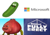 Microsoft FULLY ERECT
