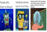 Individuals whomst singwhr msrsocnsor the homosapien tune in to Lil Pump People who listen to Mozart tune in to Lil Pump raratins o e sere auditory vibrations of the score Kids Bop listen to Mozart 2.