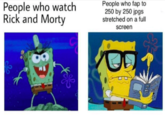People who watch Rick and Morty People who fap to 250 by 250 jpgs stretched on a full screen