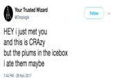 Your Trusted Wizard @Choplogik Follow ) 、/ HEY i just met you and this is CRAzy but the plums in the icebox i ate them maybe 7:44 PM -28 Nov 2017