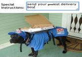 send your goodest delivery Special Instructions: boy