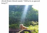 And then God said: "Who's a good boy?"