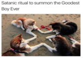 Satanic ritual to summon the Goodest Boy Ever