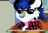words can't hurtme these shades are gucc