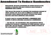 Amendment To Reduce Bamboozles Henceforth, all posts promising an action based on the number of upvotes the post recieves must include a MAXIMUM CASE CLAUSE This forces the poster to consider the maximum amount of effort, money, etc. he or she is willing to commit, and prevents cases where the poster receives too many upvotes and must Withdraw said promise. Ifsuch a post is created WITHOUT a MAXIMUM CASE CLAUSE, it will be officially considered a BAMB0OZLE Perthe me irl constitution, this amendment will be ratified if it receives a minimum of 5,000 upvotes, and at east 100 "me too thanks" comments within 24 hours of the amendment's submission. ** ME.TRL This amendment contains a Dat Boi watermark to ensure authenticity