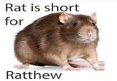 Rat is short for Ratthew