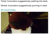 Tired: fursuiters suggestively patting the bed. Wired: fursuiters suggestively purring in bed. #FursuitFriday 0:03 14.1K views