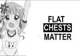 FLAT CHESTS MATTER