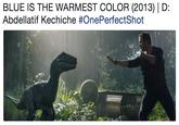 BLUE IS THE WARMEST COLOR (2013) D Abdellatif Kechiche #OnePerfectShot