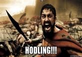 LLAM HODLING!! memegeneratornnet