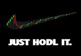 JUST HODL IT.