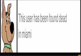 User Deleted This user has been found dead in miami funny.ce