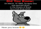 It was Miami Dumbass! Did You Know On March, 10 1983, Scrappy Doo was gunned down in the streets of Brazil by a rival drug cartel Now you know