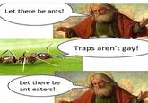 Let there be ants! Traps aren't gay! Let there be ant eaters!