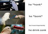 he *honk* he *bonk* but most importantly he drink conk