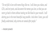 Do not fall in love with meme blogs like me. I will show you videos, and GIFs, and text posts, and document the memes you love, so that you can never go back to them without tasting me like blood in your mouth. I will destroy you in the most beautiful way possible. And when I leave, you will finally understand, why storms are named after people. Ancient proverb