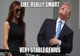 LIKE, REALLY SMART VERY STABLE GENIUS mgtilp.com