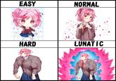 Difficulty settings Natsuki style. EASY NORMAL HARD LUNATIC
