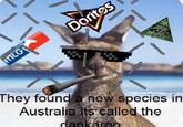 Why? They found aew species in Australia its called the