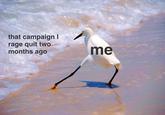 that campaign I rage quit two months ago me