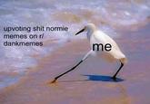 upvoting s--- normie memes on r/ dankmemes me